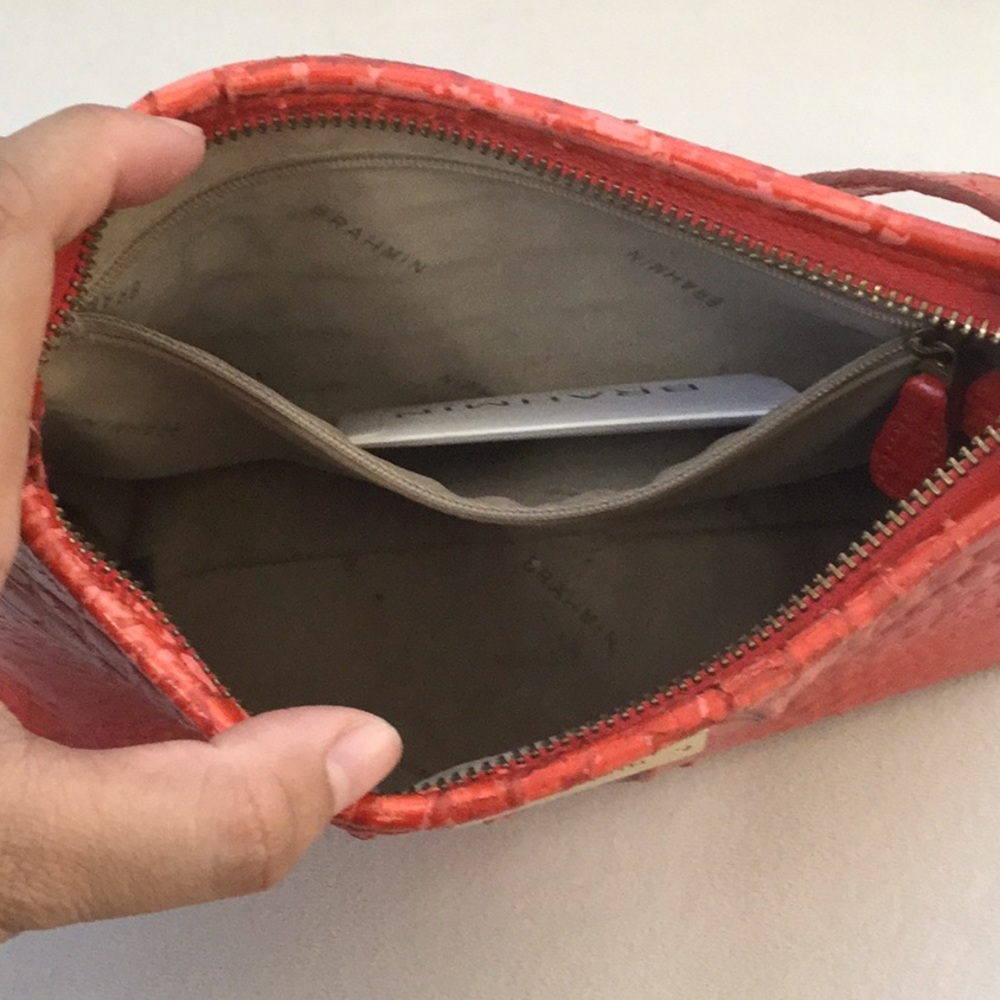 BRAHMIN - Picture 4 of 5